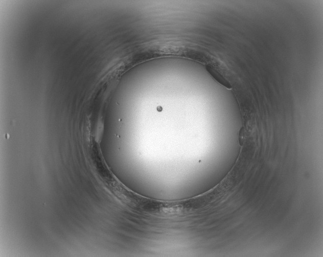 X0000063530744200602102017