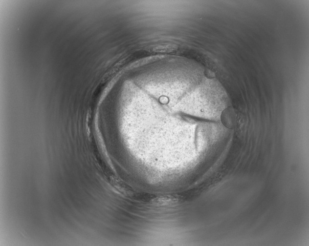 X0000063530745200602102017