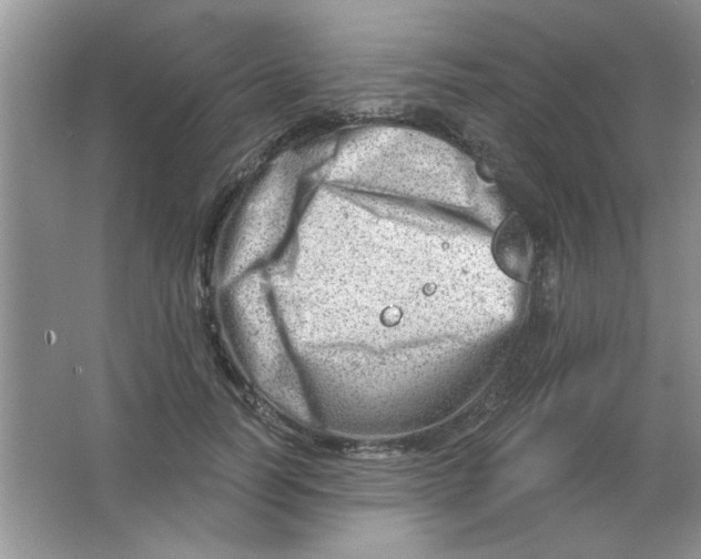 X0000063530746200602102017