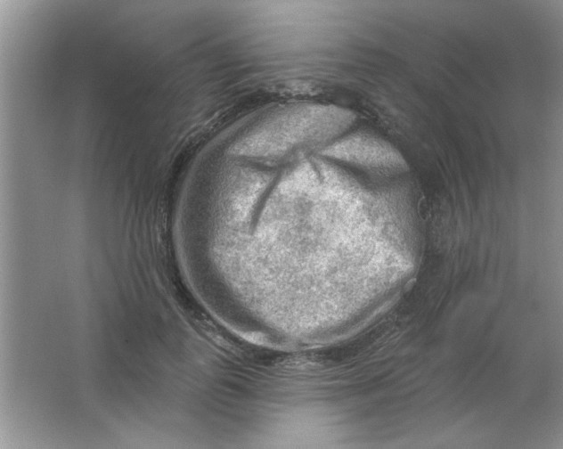 X0000063530747200602102017