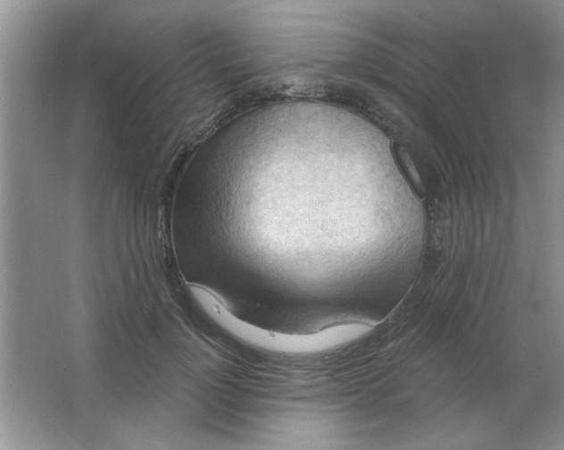 X0000063530748200602102017