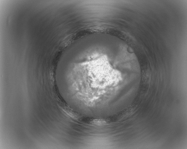 X0000063530749200602102017