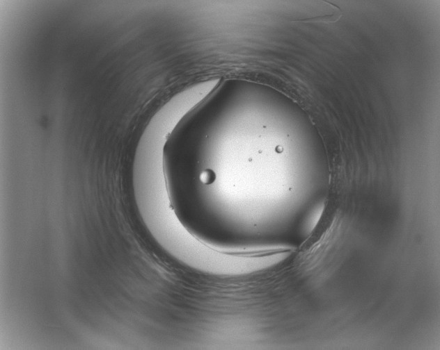 X0000063530750200602102017