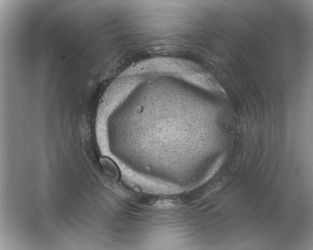 X0000063530751200602102017