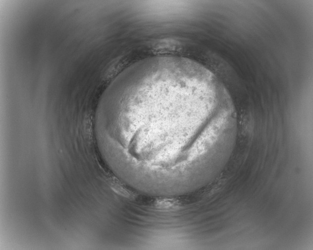 X0000063530753200602102017