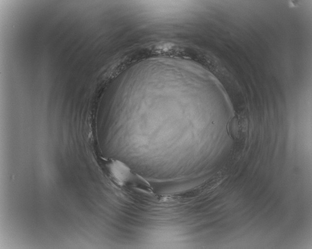 X0000063530754200602102017