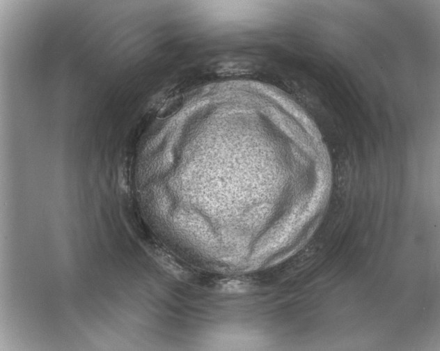 X0000063530755200602102017