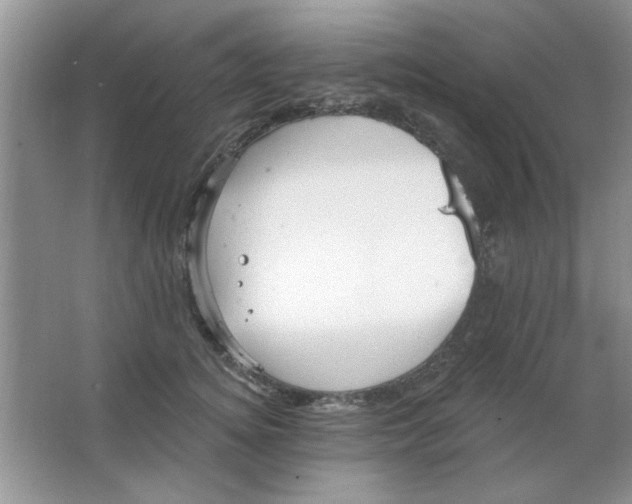 X0000063530756200602102017