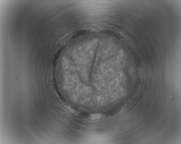 X0000063530757200602102017