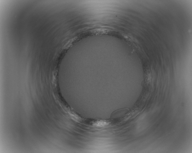 X0000063530759200602102017