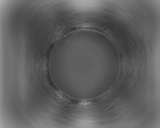 X0000063530760200602102017