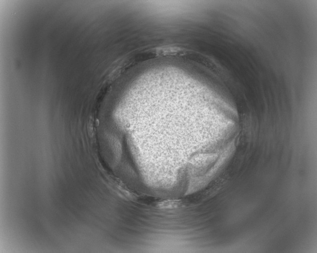 X0000063530761200602102017