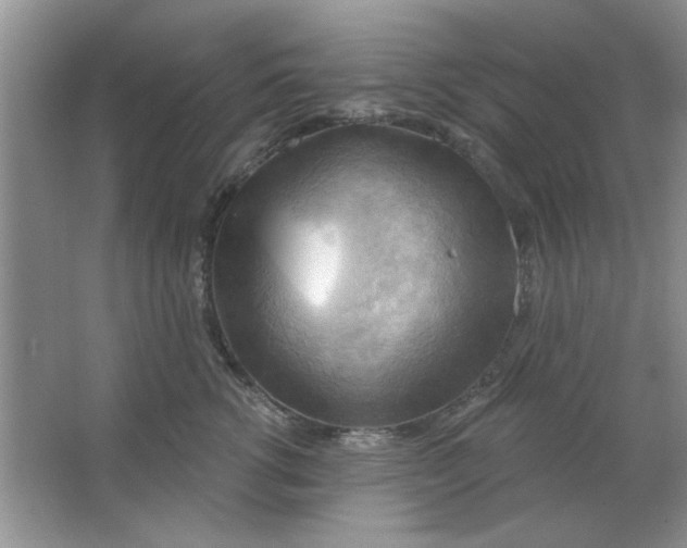 X0000063530762200602102017