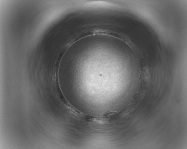 X0000063530763200602102017