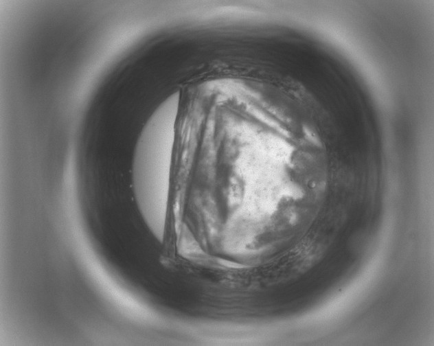 X0000063530765200602102017