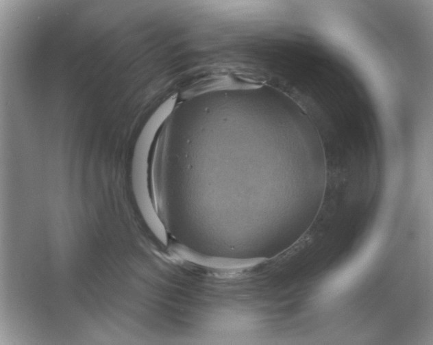 X0000063530766200602102017