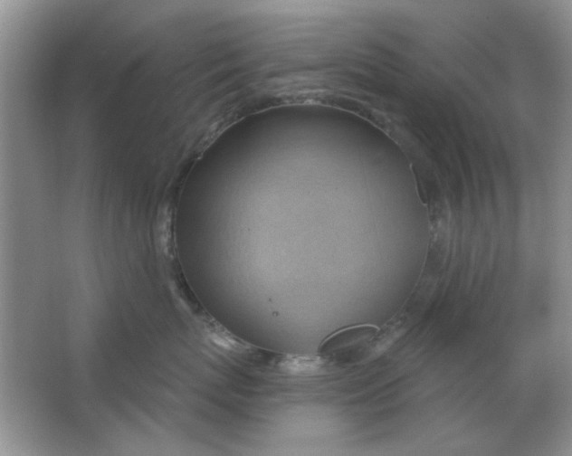 X0000063530767200602102017