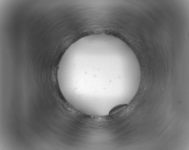 X0000063530768200602102017