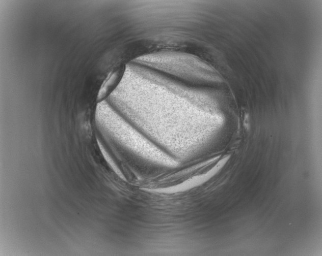 X0000063530771200602102016