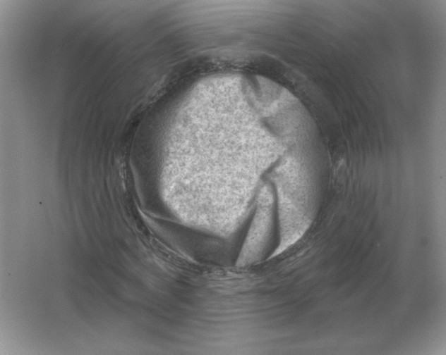 X0000063530772200602102016