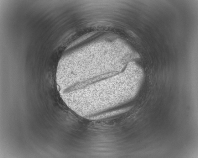 X0000063530774200602102016