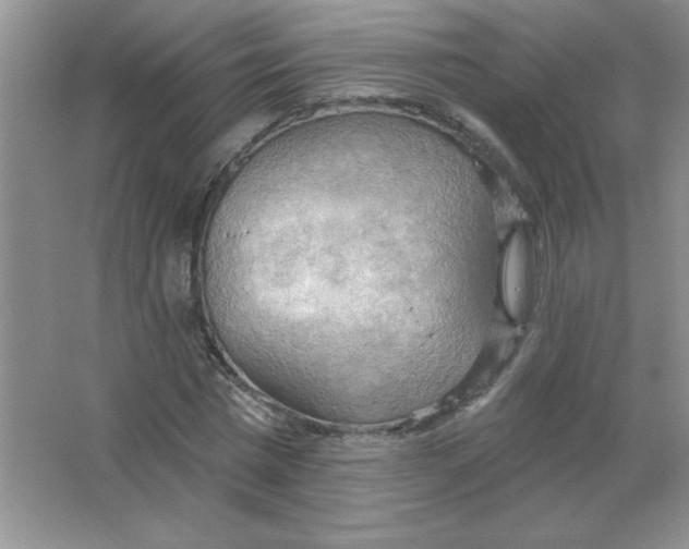 X0000063530777200602102016