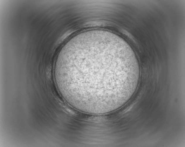 X0000063530778200602102016