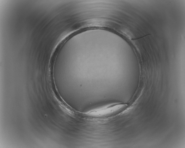 X0000063530779200602102016