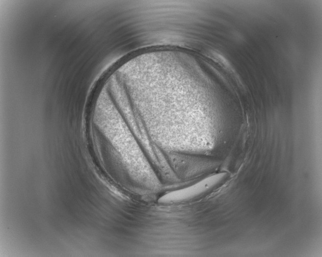 X0000063530780200602102016