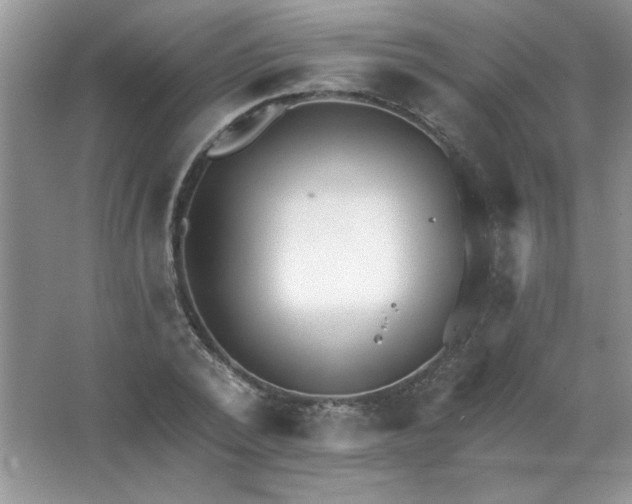 X0000063530784200602102016