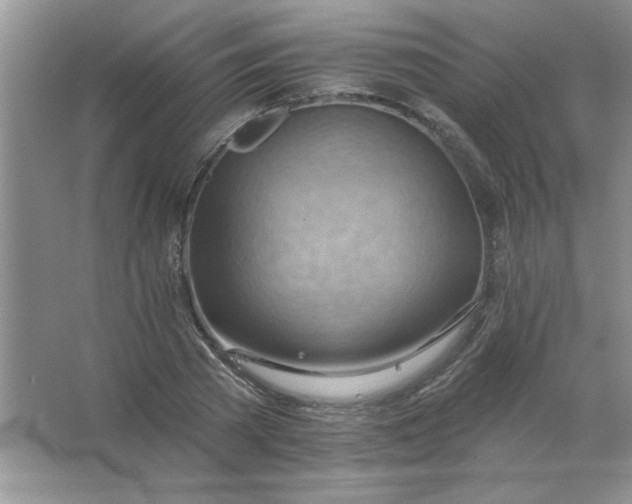 X0000063530785200602102016