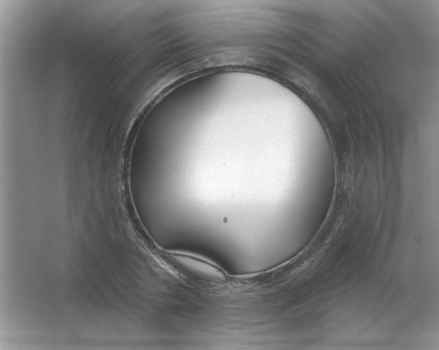 X0000063530786200602102016