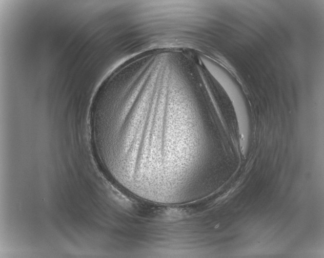 X0000063530787200602102016