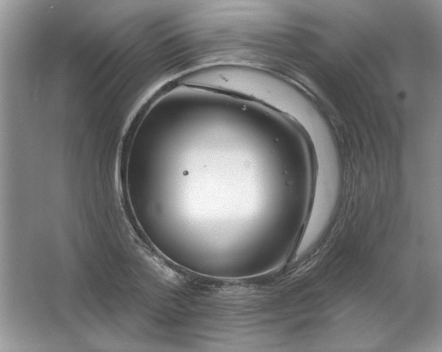 X0000063530788200602102016