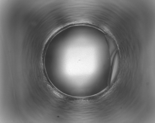 X0000063530789200602102016