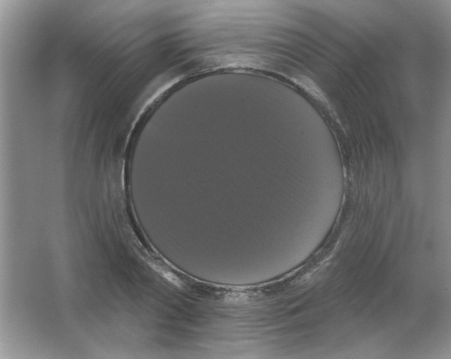 X0000063530790200602102016