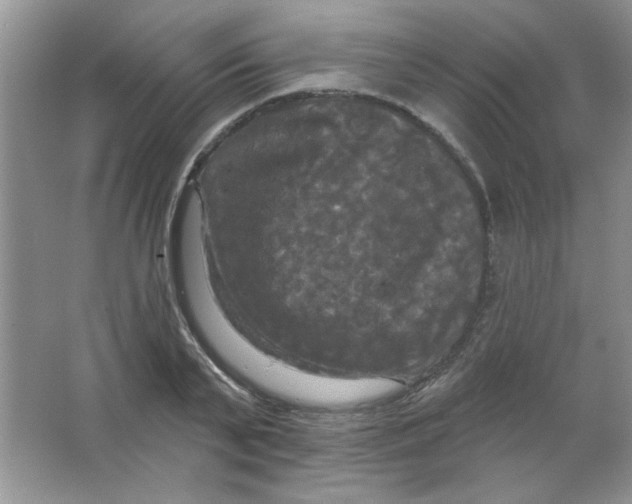 X0000063530791200602102016