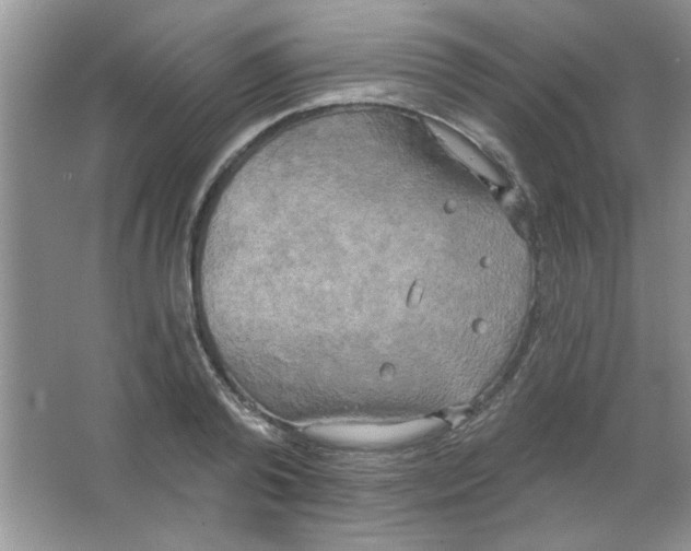 X0000063530792200602102016