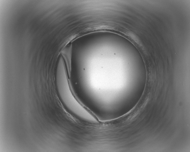 X0000063530793200602102016