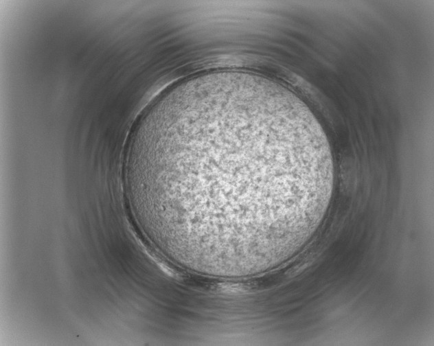 X0000063530794200602102016