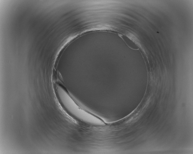 X0000063530797200602102016