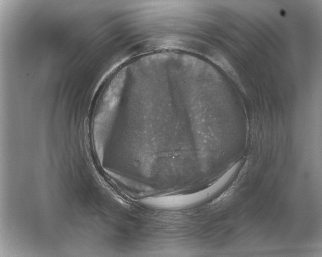 X0000063530798200602102016