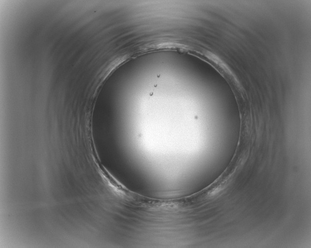 X0000063530801200602102016