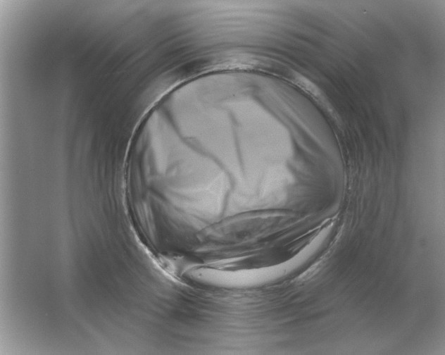 X0000063530802200602102016