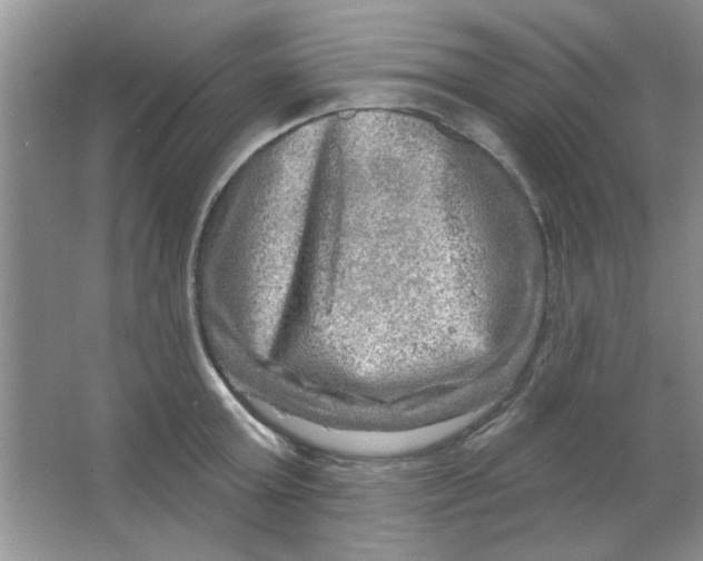 X0000063530803200602102016