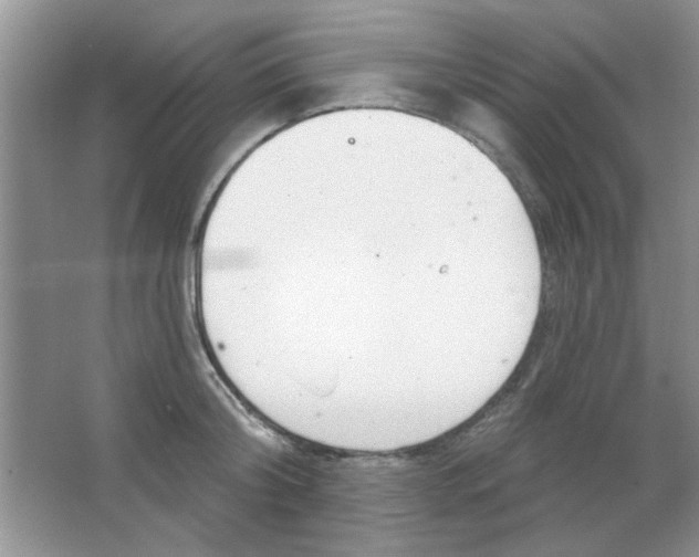 X0000063530804200602102016