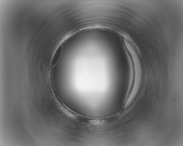 X0000063530805200602102016