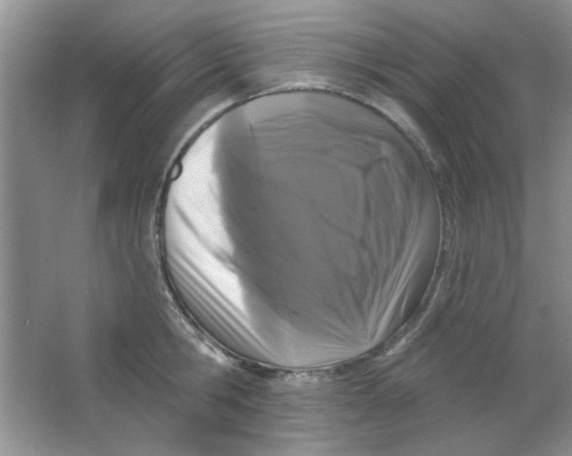 X0000063530806200602102016