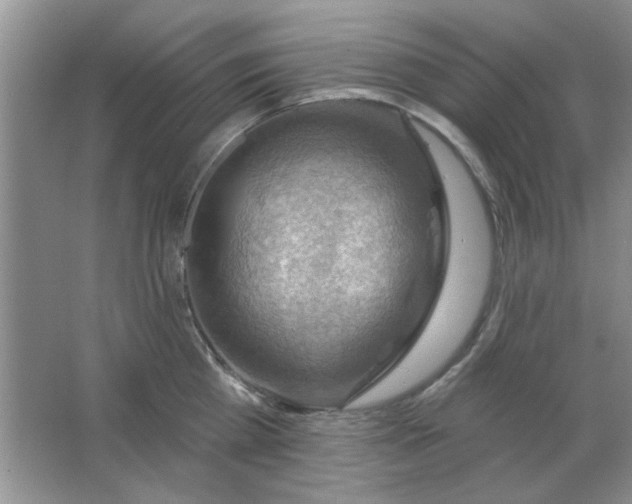 X0000063530809200602102016