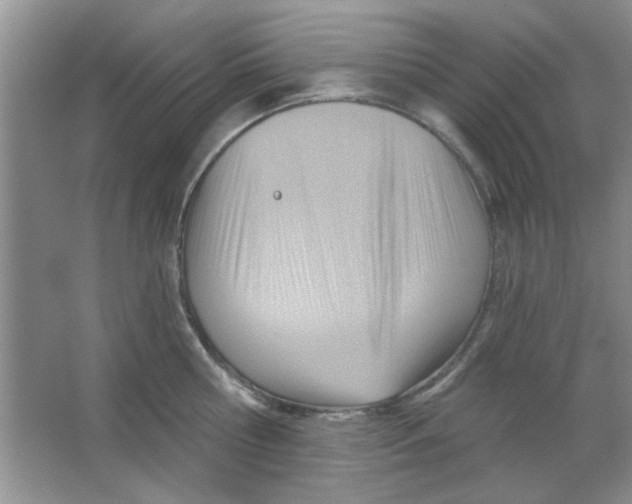 X0000063530810200602102016